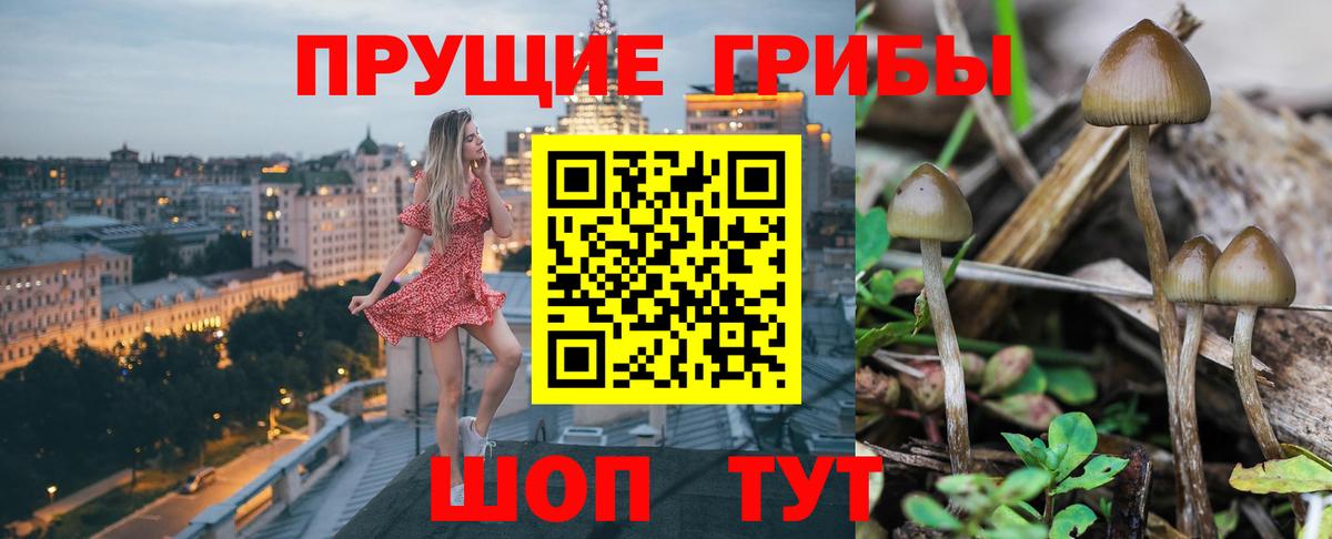 Галлюциногенные грибы Cubensis Усинск